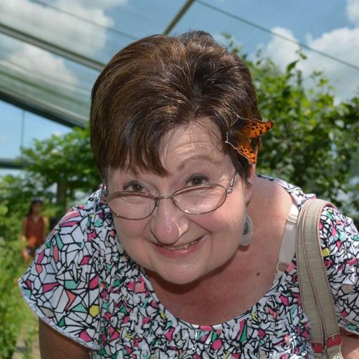 Patricia Lynn Schaaf Profile Photo