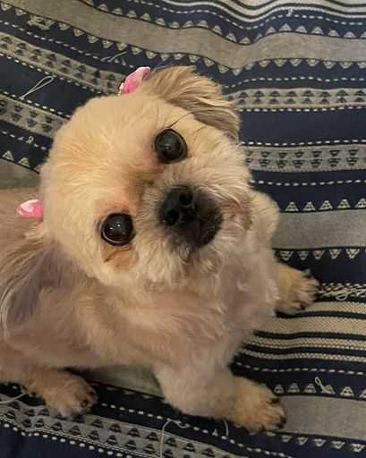 Lady ?'s obituary image