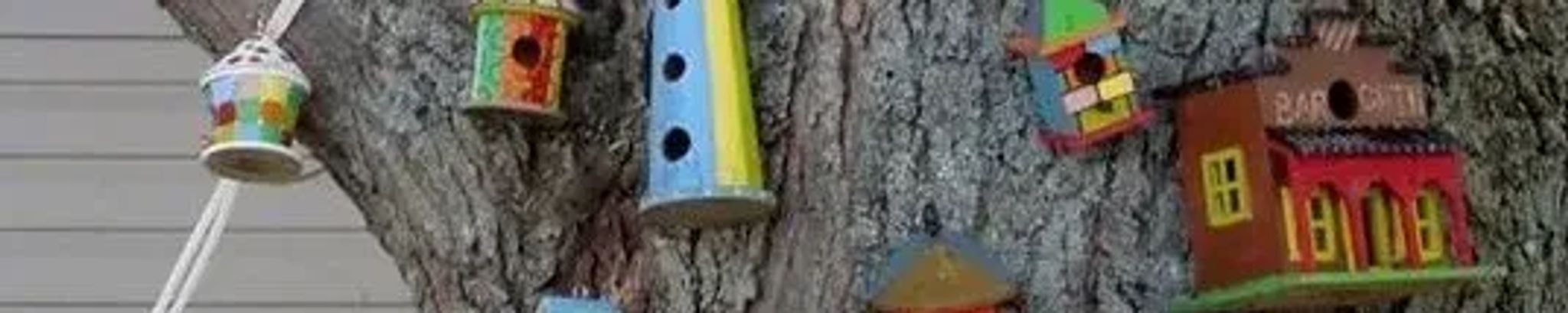 Cover for Billy Charles Boone's Obituary