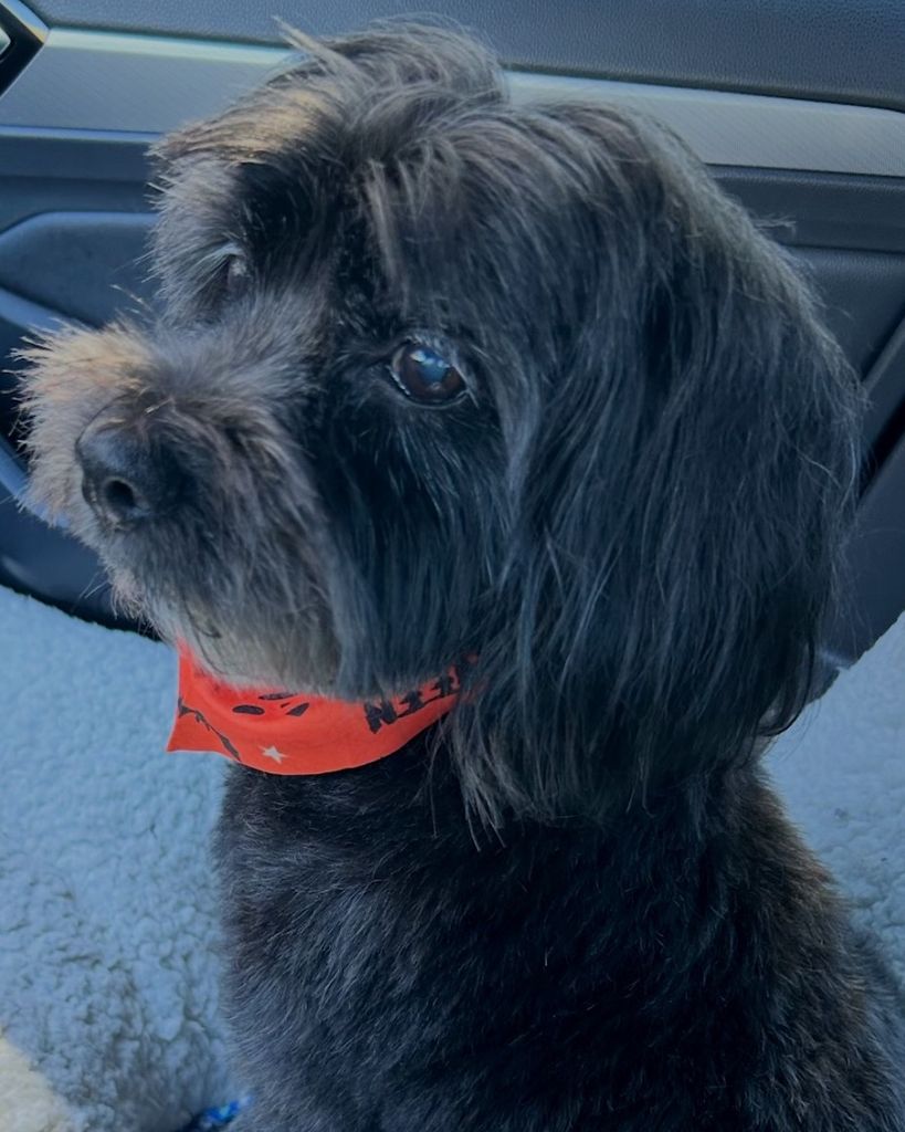 Zorro Durden Profile Photo