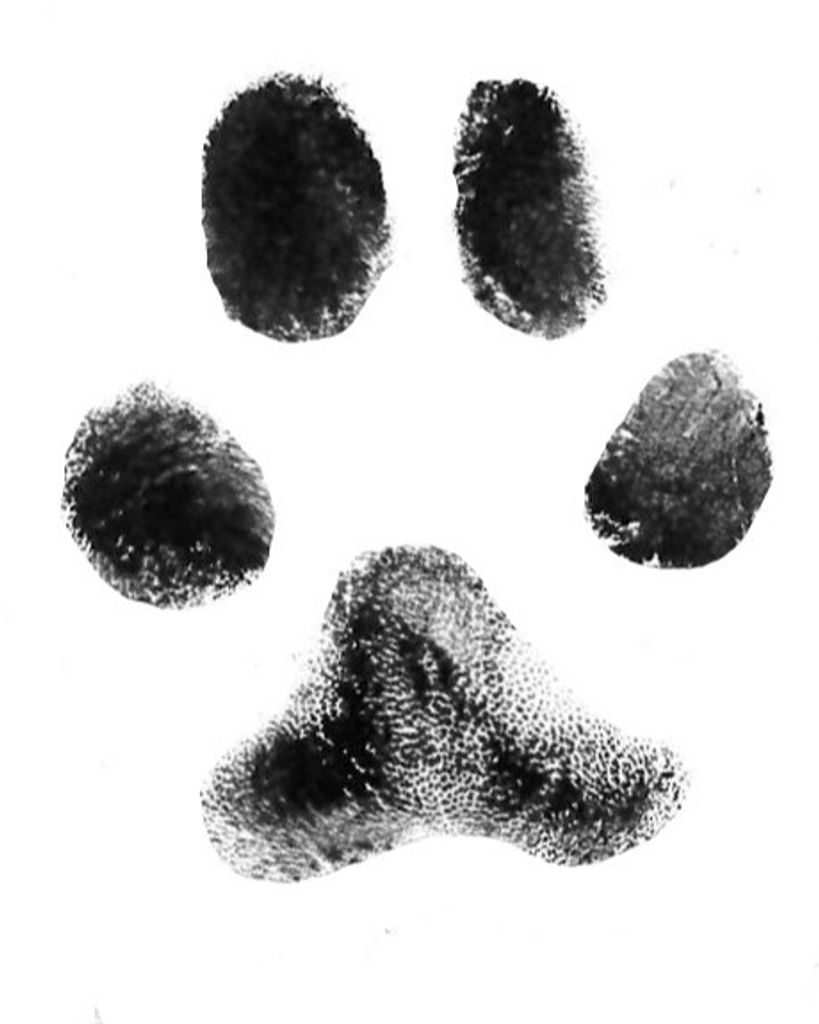 Roxy Sigmon Profile Photo