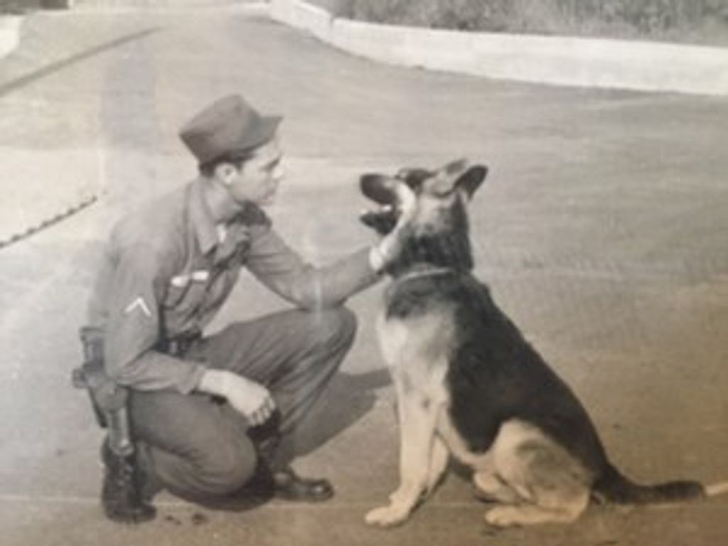 Charles D. Metcalf Profile Photo
