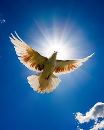Eugene Allison's obituary image