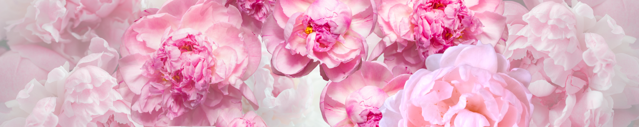 Cover photo for Jewel Allen Hayes's Obituary