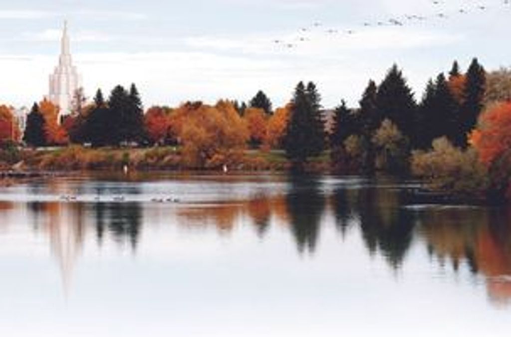 Bernard Lawrence Effie