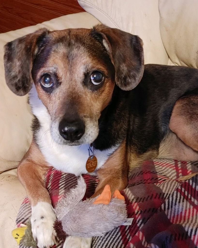 Buddy Parker Profile Photo