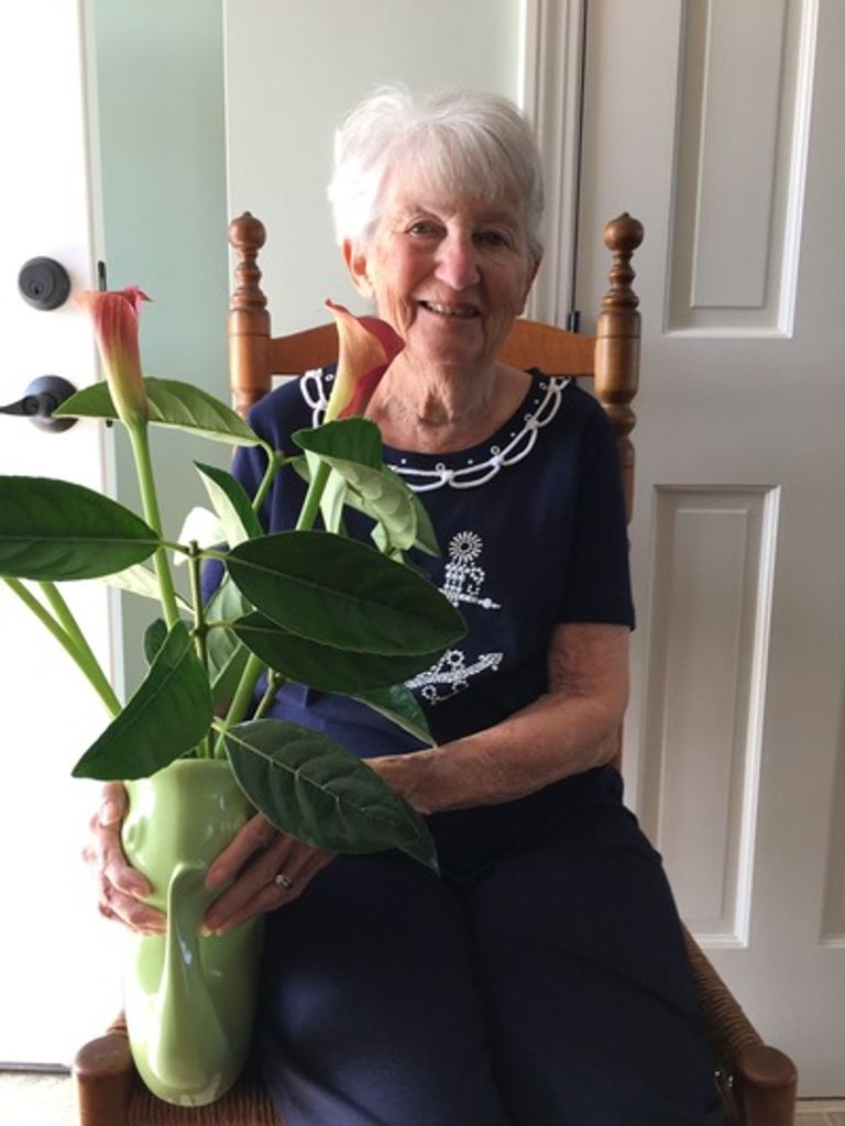 Alice Louise Callery Profile Photo