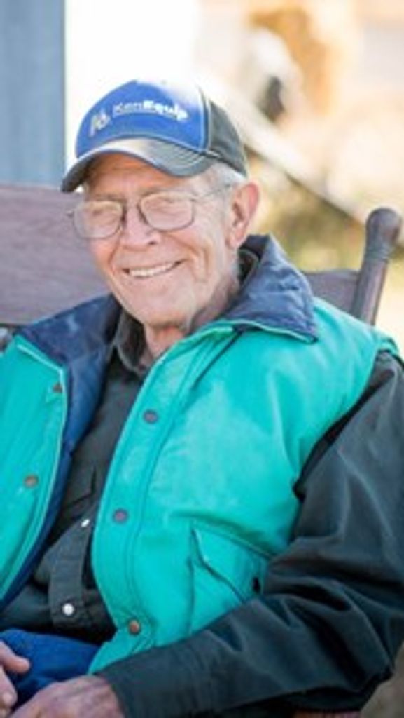 Dale Harold Stein