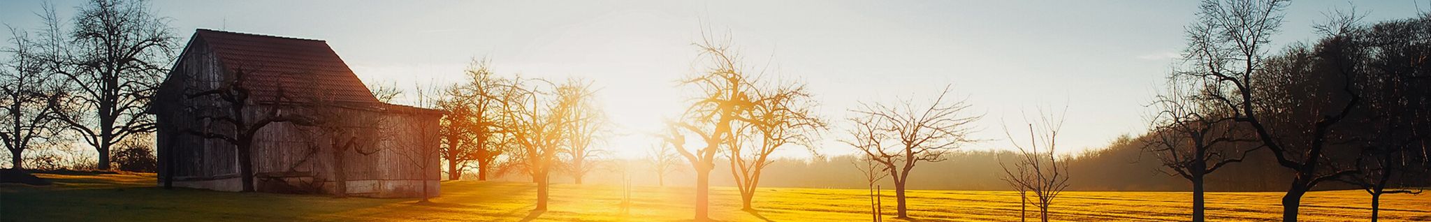 Cover photo for David L Johnson's Obituary