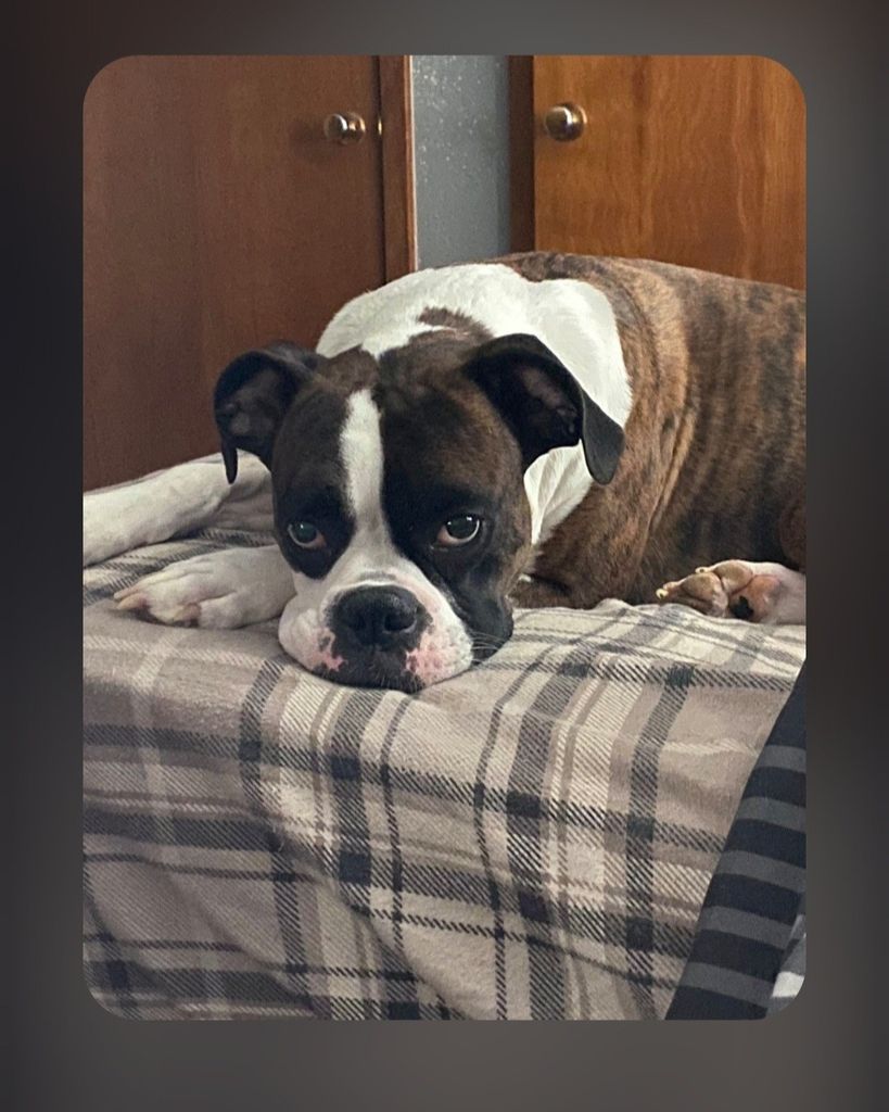 Remi Profile Photo