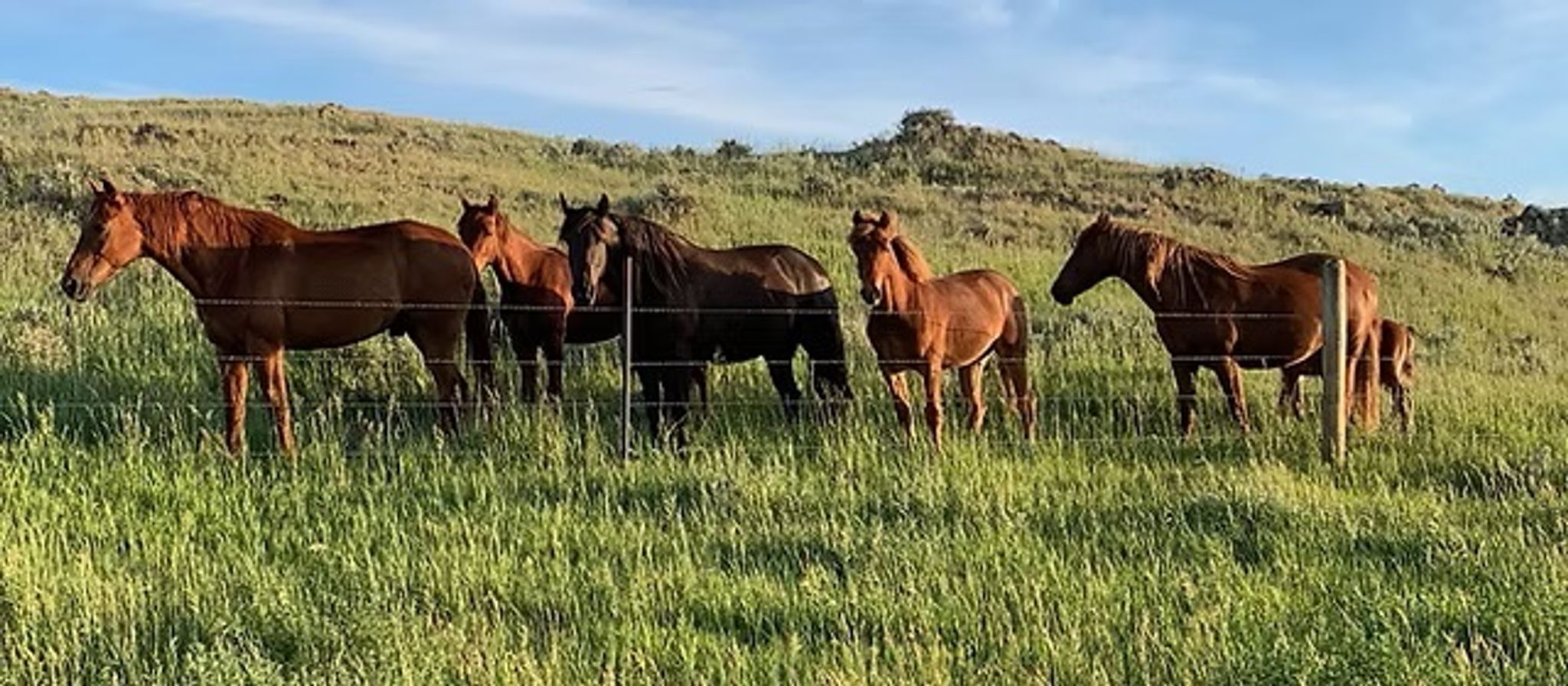 Cover for Donald Wayne Cunningham's Obituary