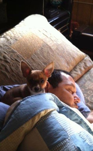 Robert "Bobby" Perez III photo gallery thumbnail 34 of 38