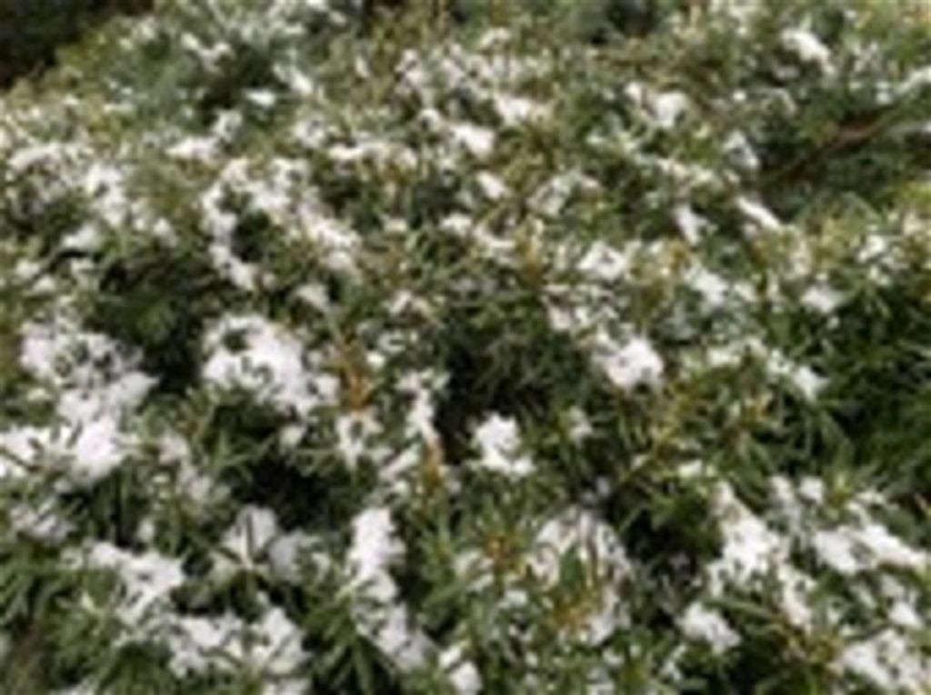 James Harpster Profile Photo