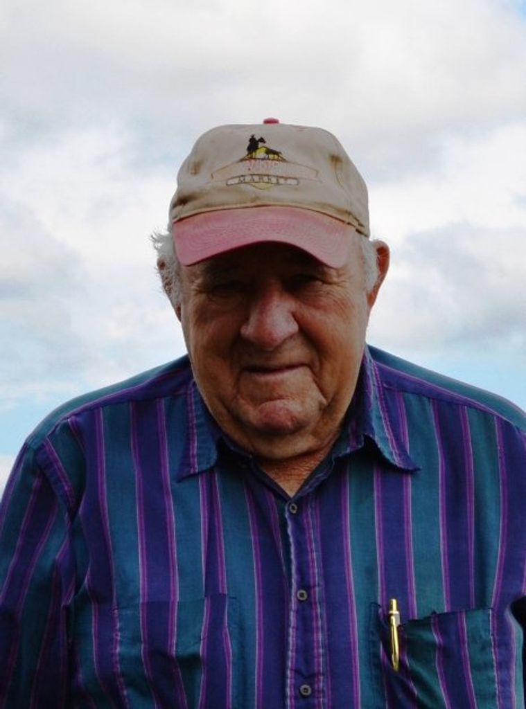 Harold  Francis Schaefer