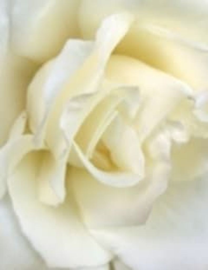 Kathlyn Smith Profile Photo