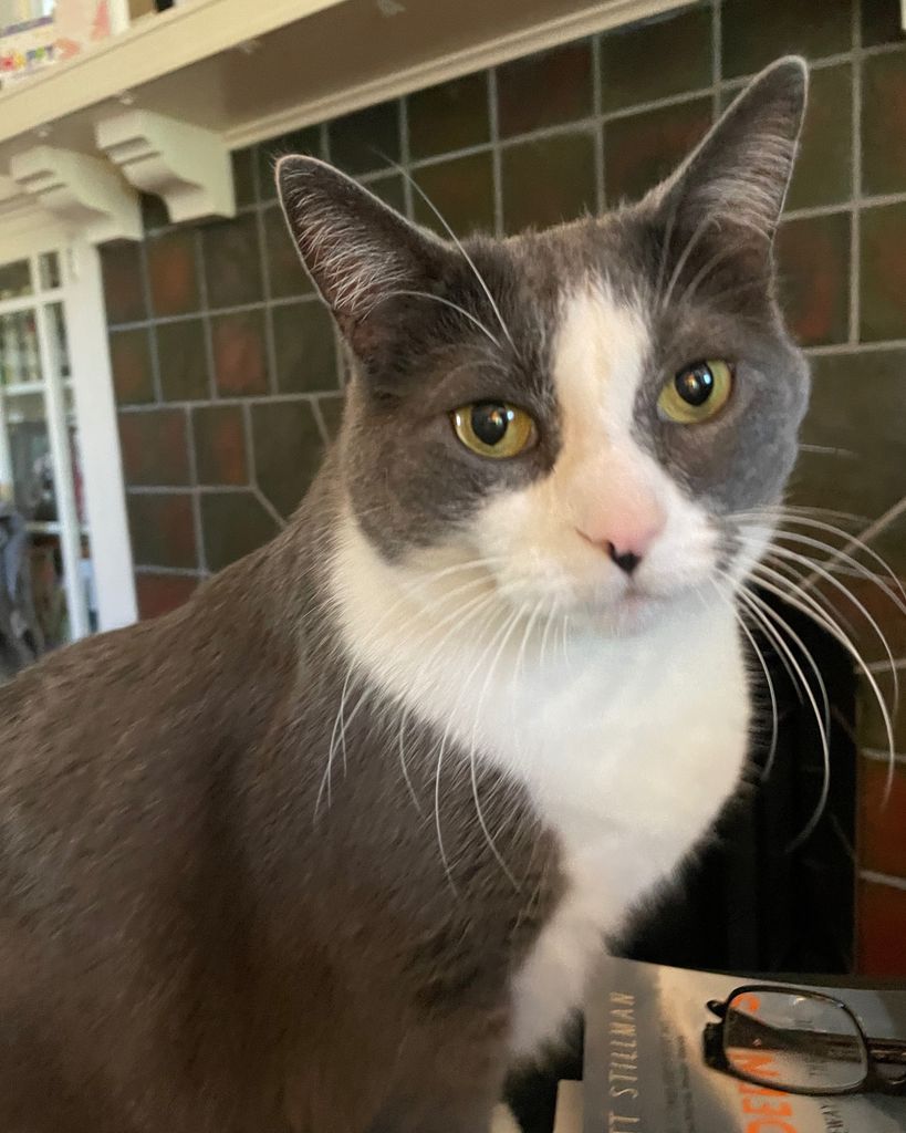 Rupert Profile Photo