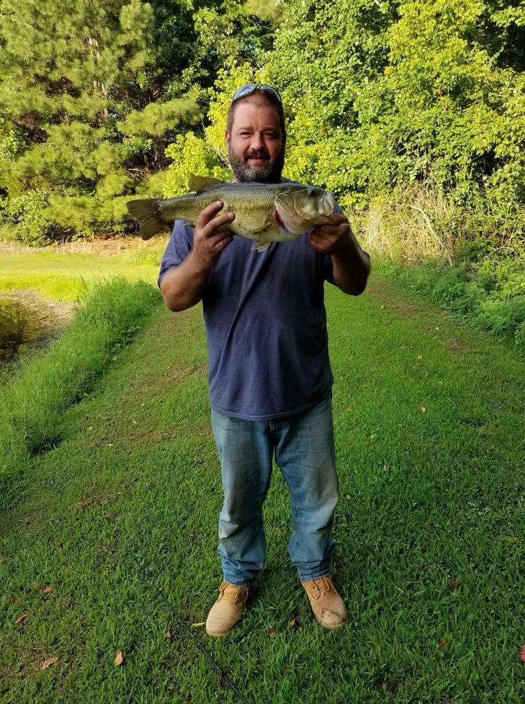 Brian Stewart Profile Photo