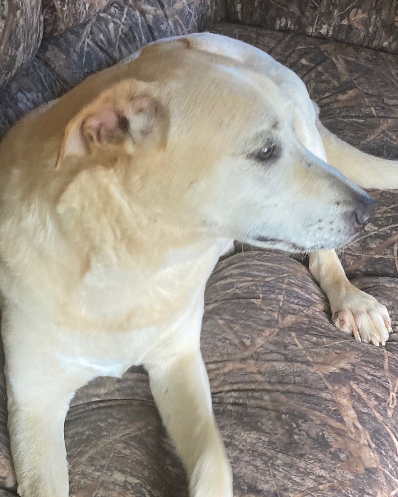 JJ Pulley Profile Photo