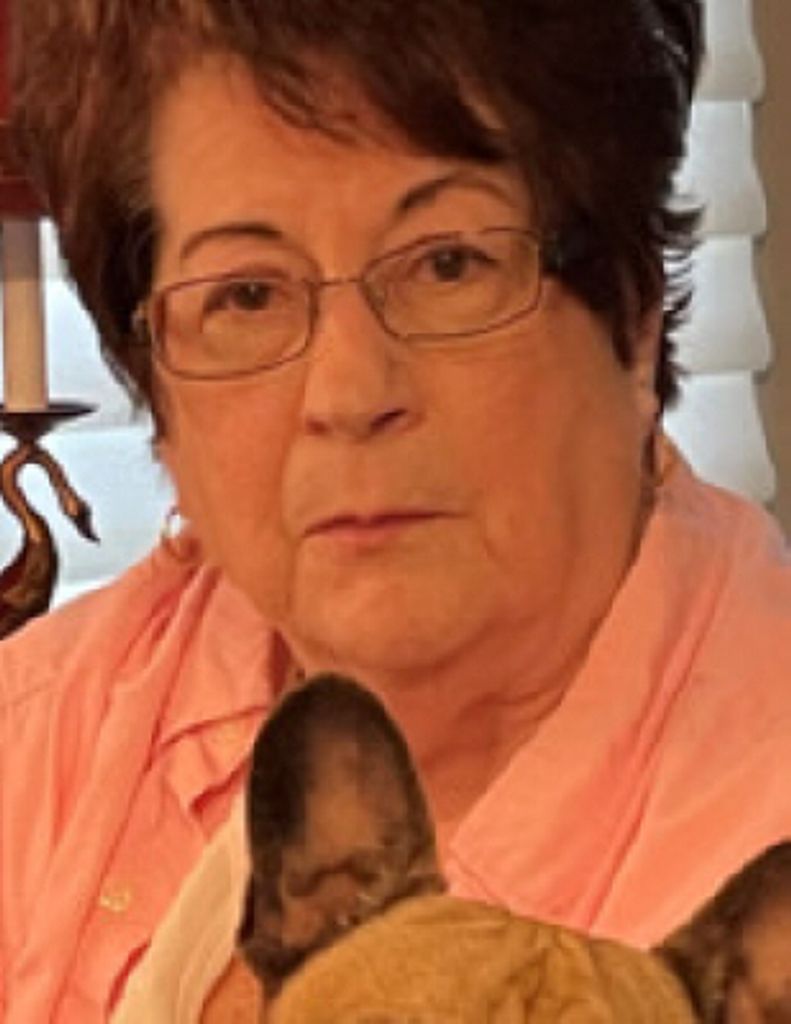 Donna J. Polo Profile Photo