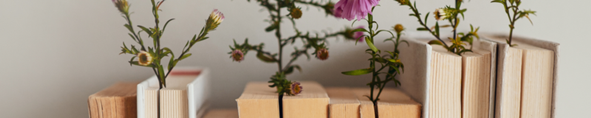 Cover for Rosa Mary Phenix's Obituary