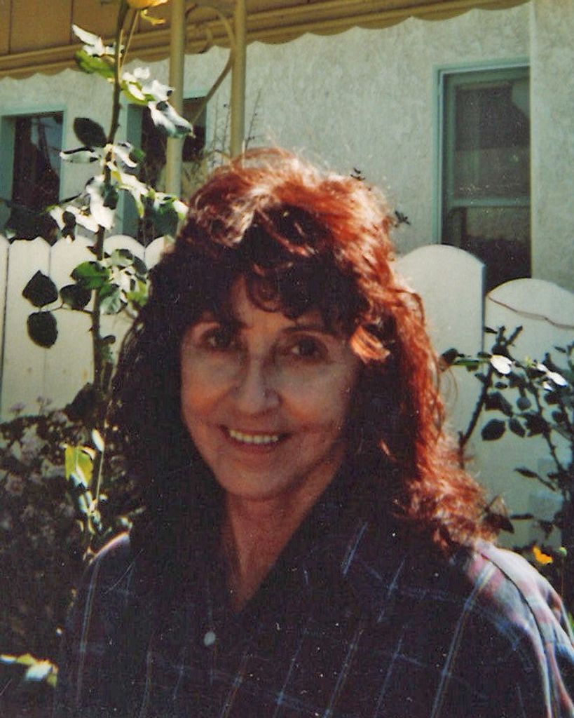 N. Suellen Reichenbach