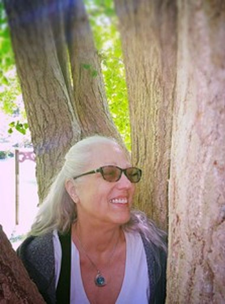 Toni Marie Saccucci