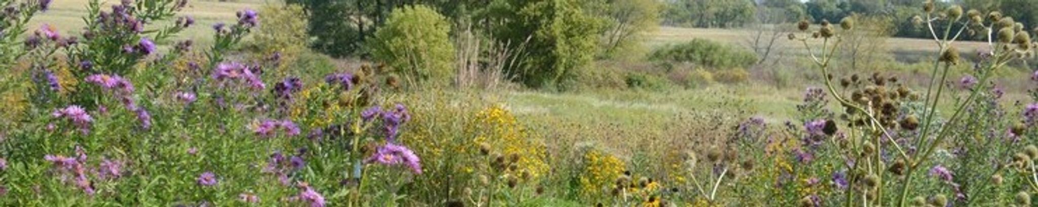 Cover for William "Bill" George Lunney's Obituary