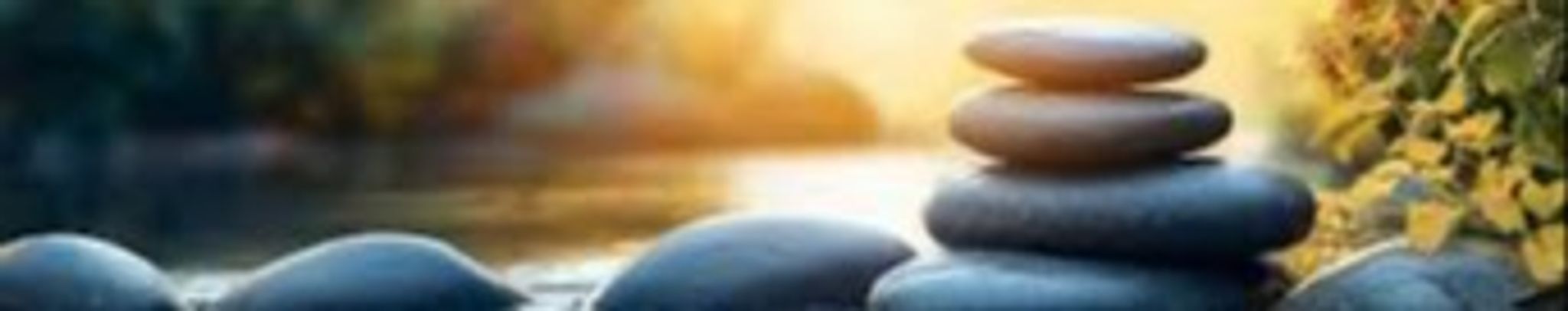 Cover for Elmas Simsek's Obituary