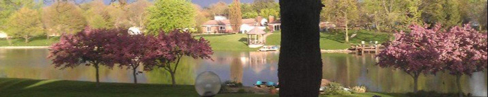 Cover for Lynda Ramminger's Obituary