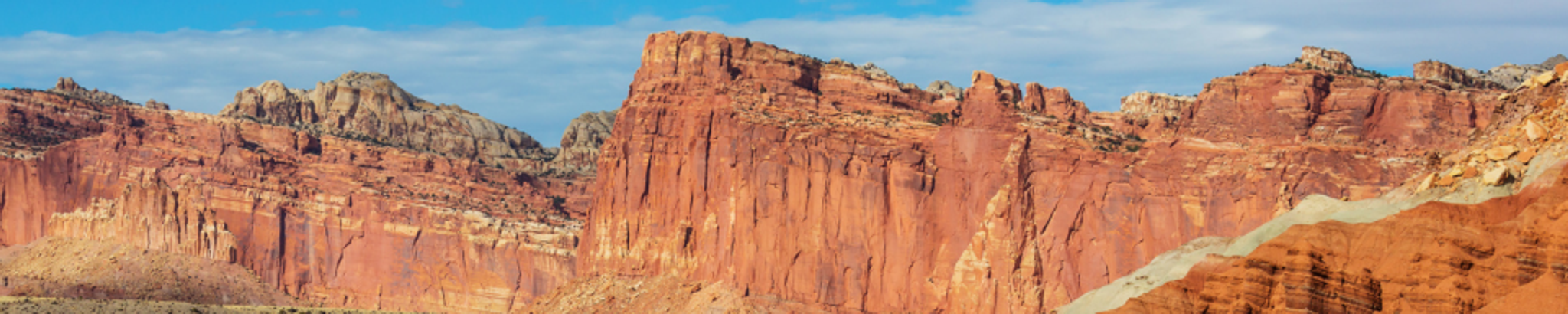 Cover for Carolyn Jane Hackbarth's Obituary