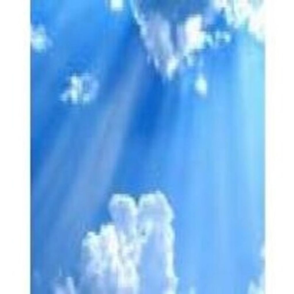 Eleanor Helene Foster