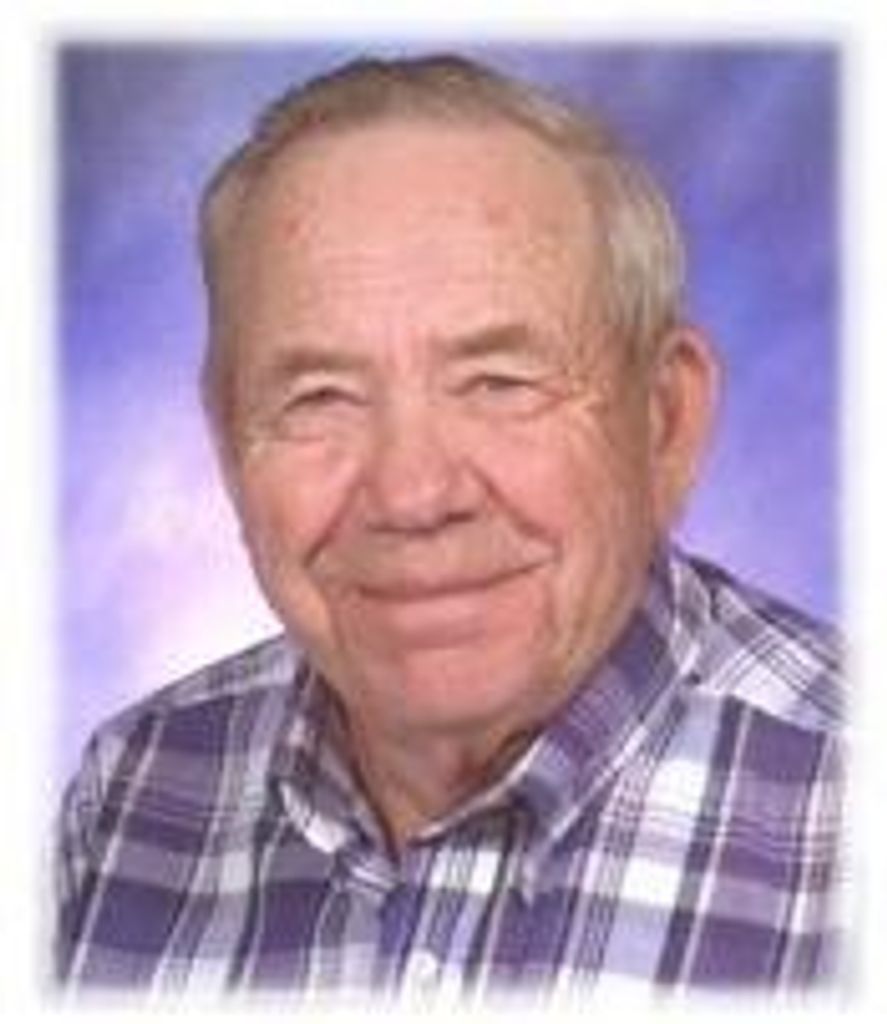 David P. Kaiser, Dvm