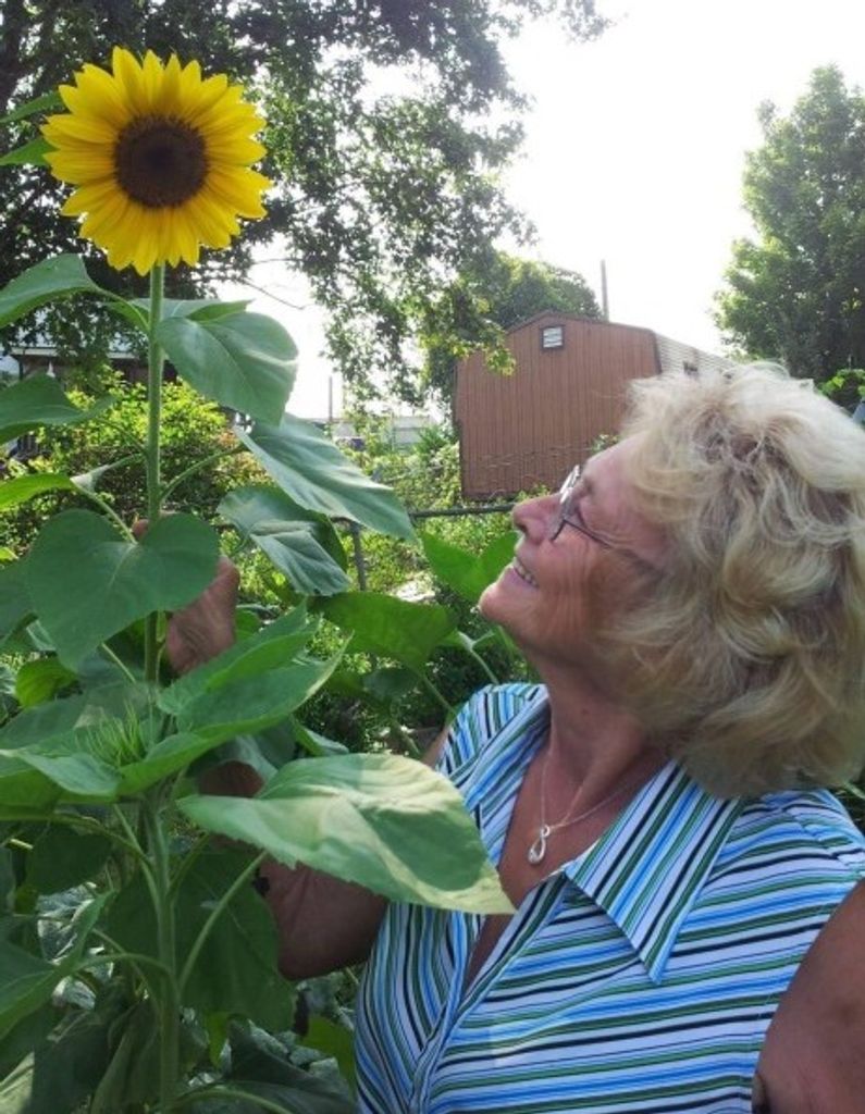 Janice White Profile Photo