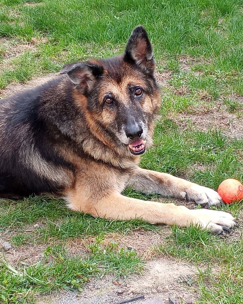 Luke Villani Profile Photo