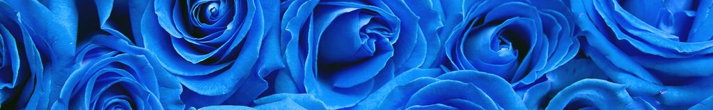 Cover photo for Phyllis Vera (Massingham)  Ware's Obituary