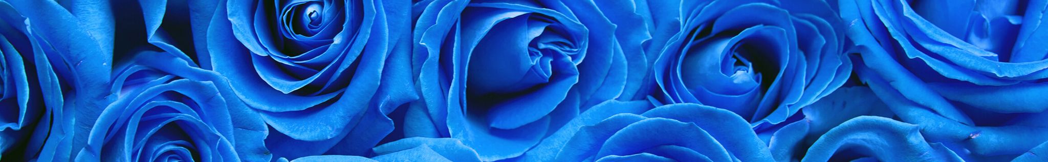 Cover photo for Rosemary Medley's Obituary