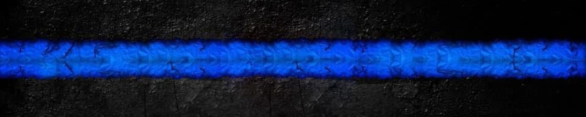 Cover photo for Deputy Melissa Pollard's Obituary
