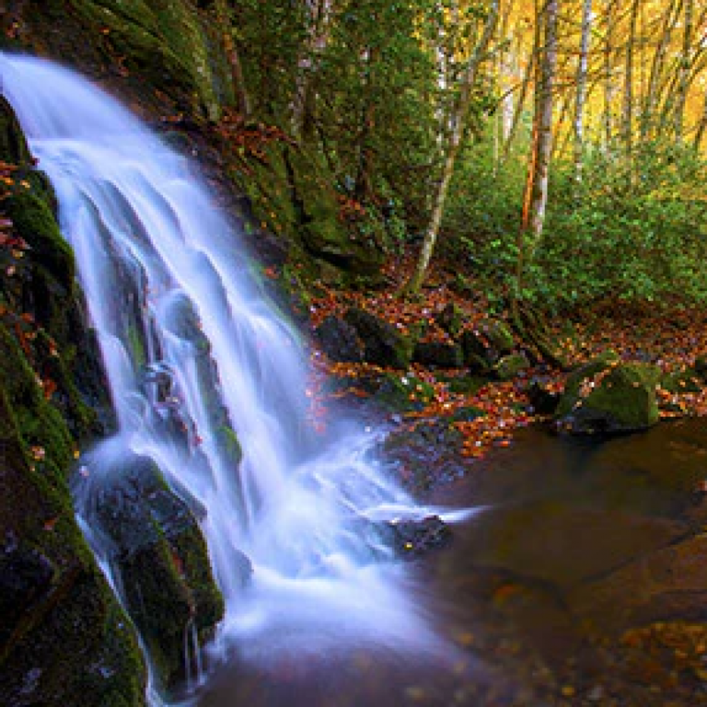 Eldred Dell Foor Profile Photo