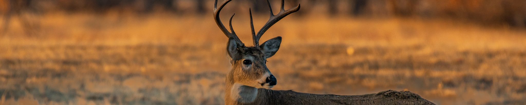 Cover photo for Darwin D. Diehl's Obituary