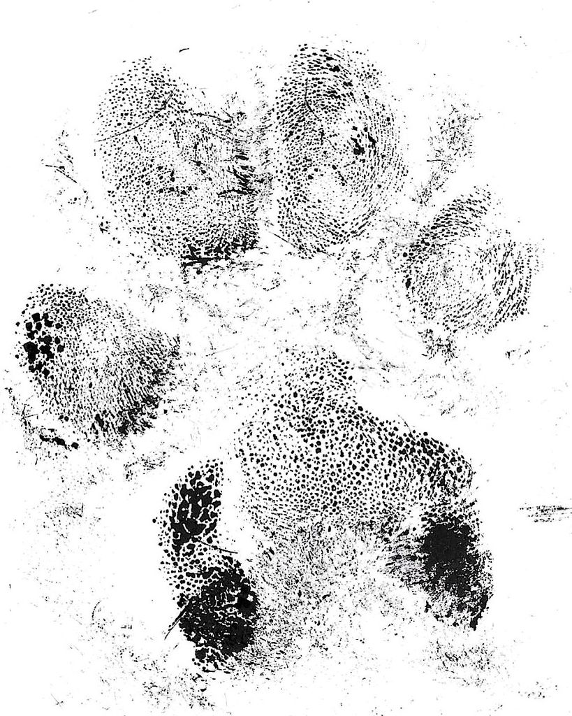 Carl Albright Profile Photo