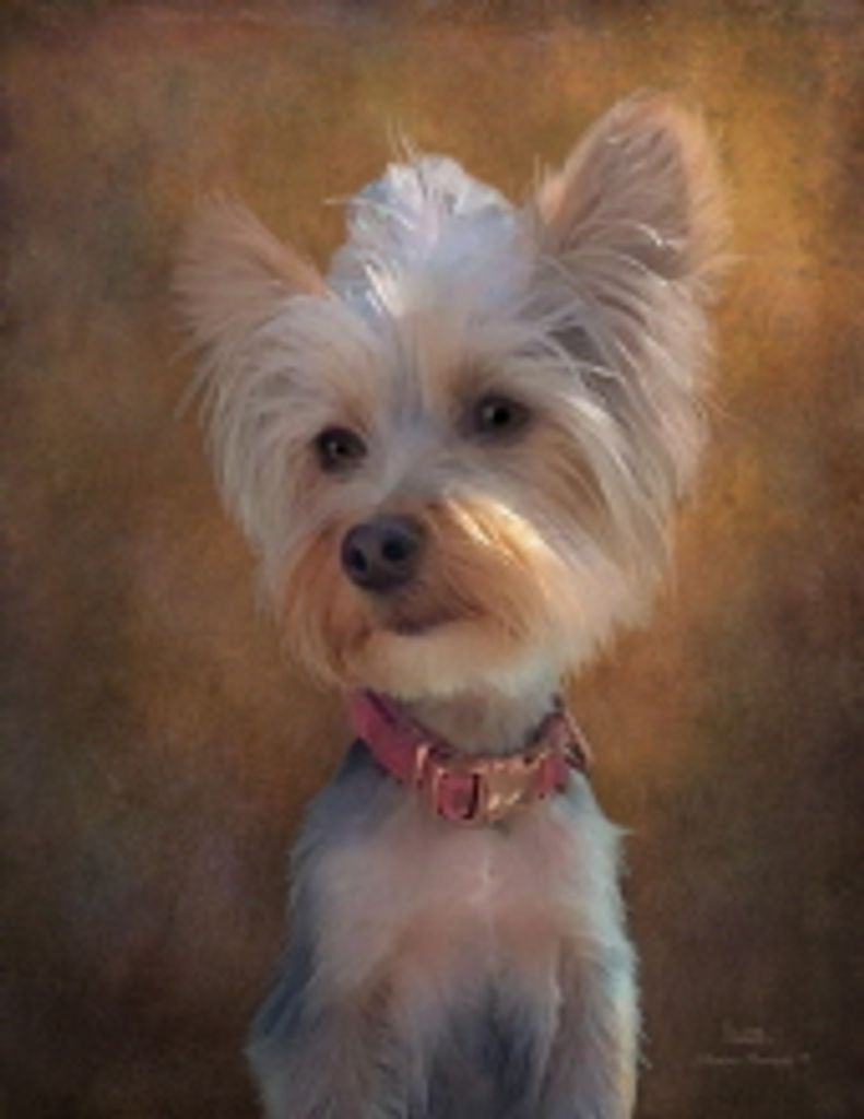 Milly Murillo Howell