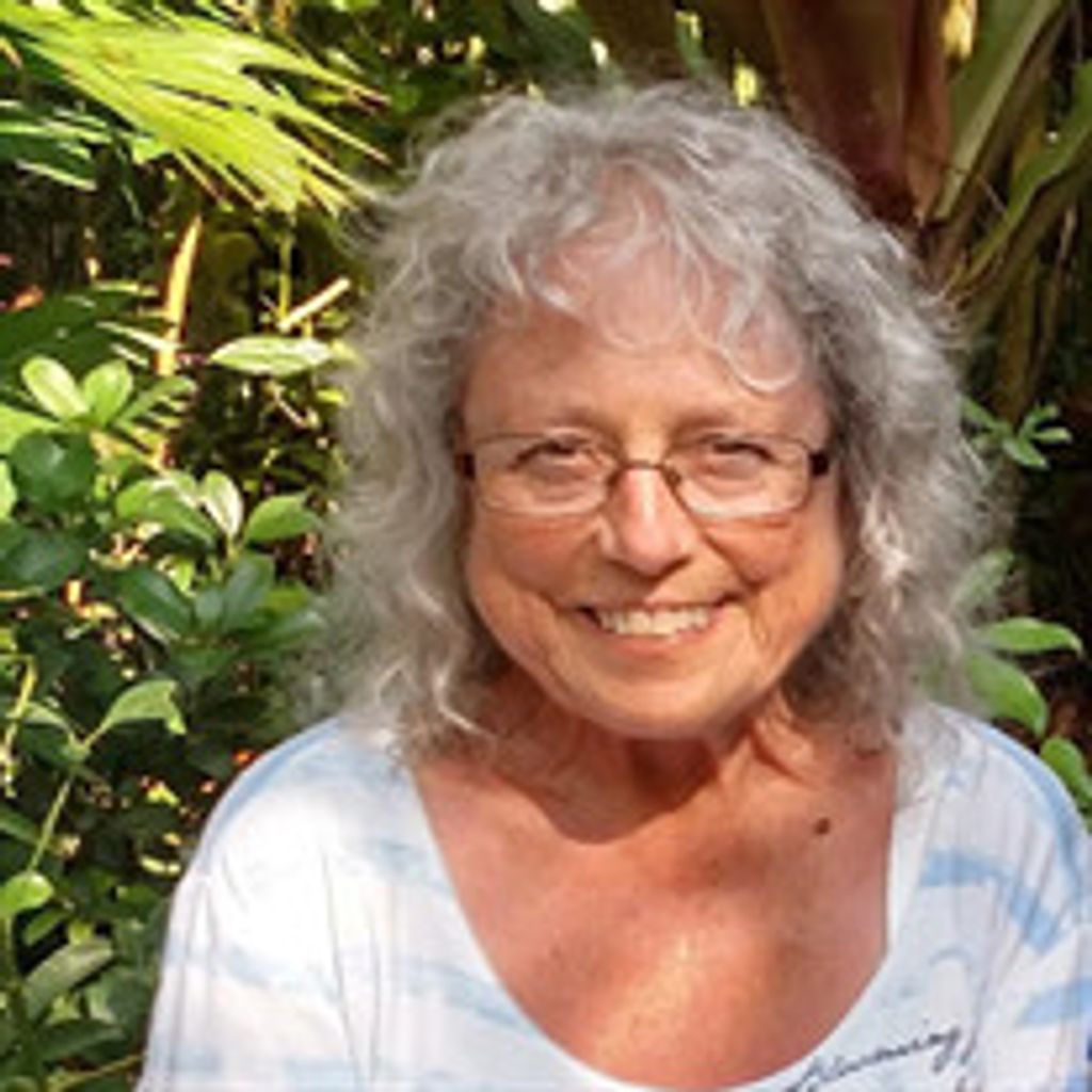 Nancy L. Anderson