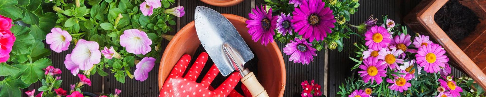 Cover for Ann E. Lodge's Obituary