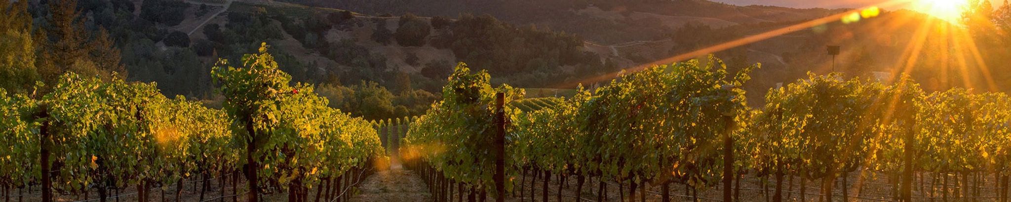 Cover for Sandy Merritt's Obituary