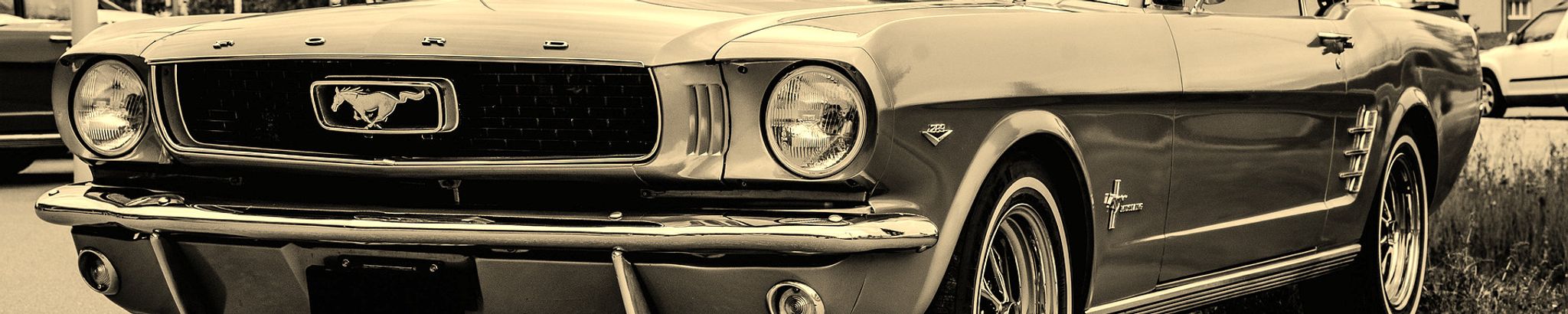 Cover for Robert Mark Donnelly's Obituary