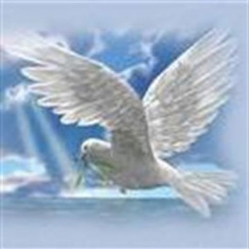 Eleondra Drechsel-Tomalis Profile Photo