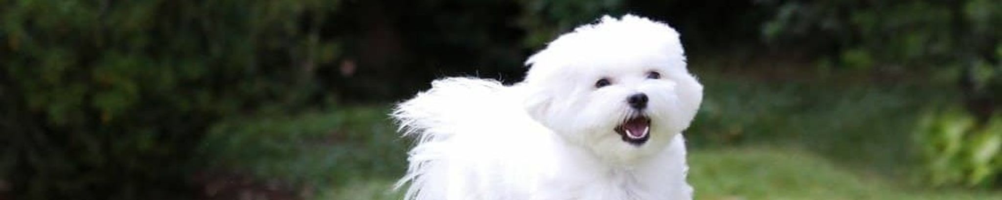 Cover photo for Deborah Mabry Campbell's Obituary