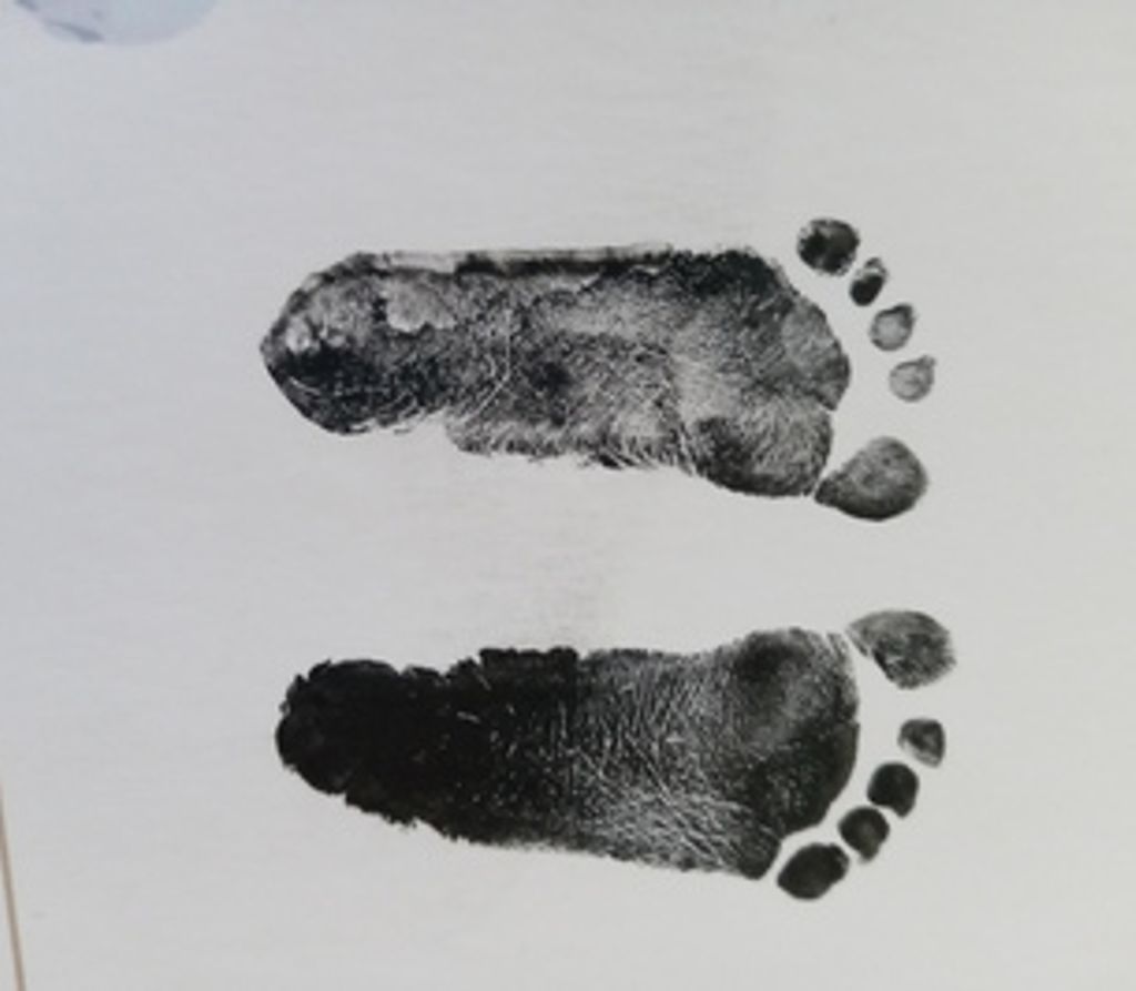 Phoenix Olivia Scogin