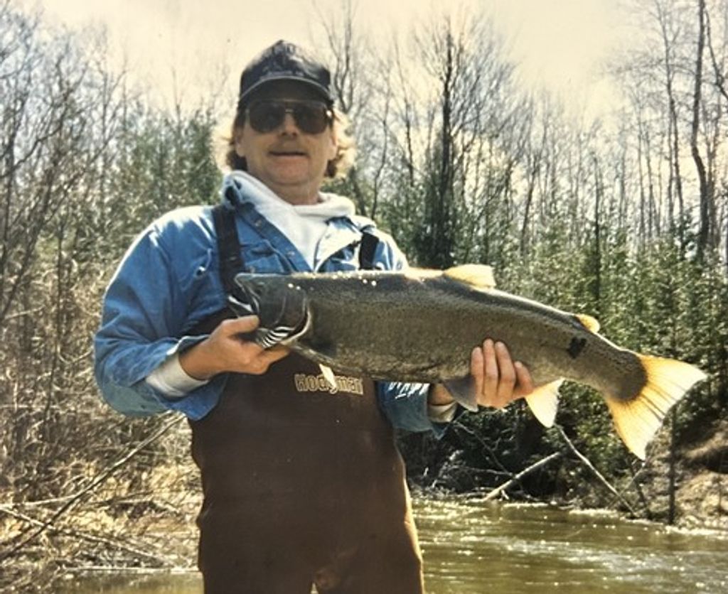 Rodd Doyle Bowen Profile Photo