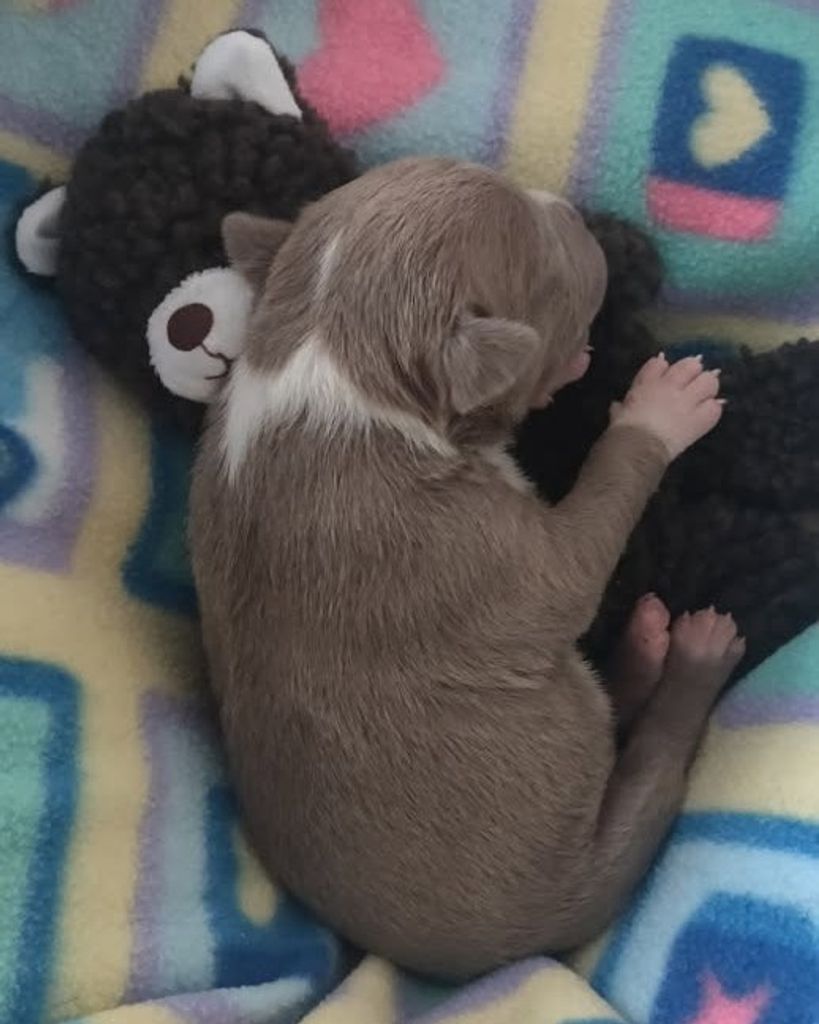 Johnny Murray Profile Photo